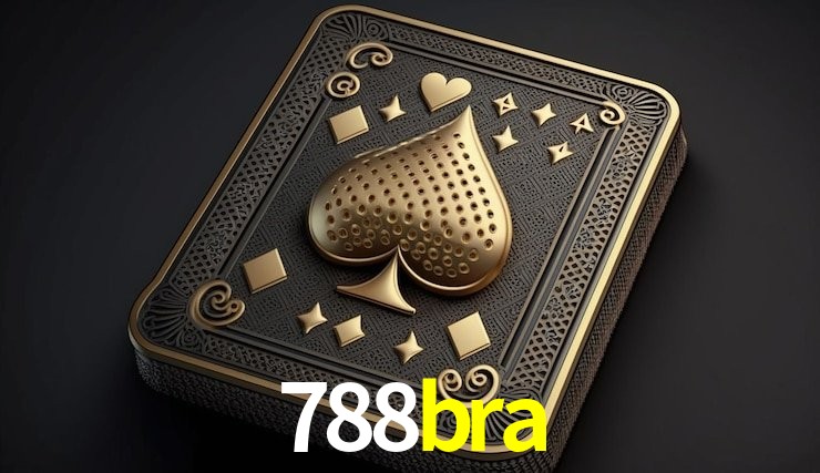 Experiência VIP 788bra